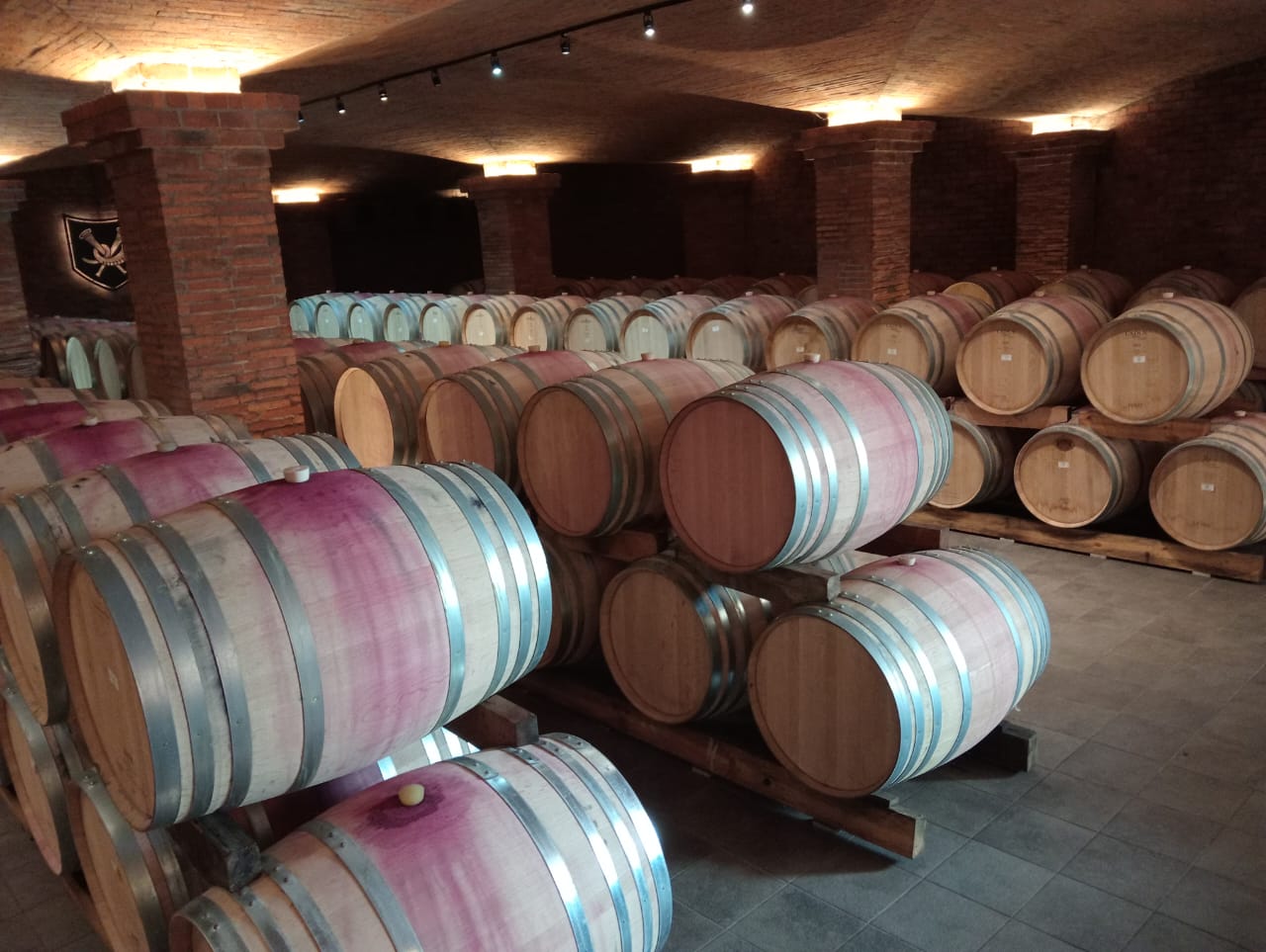 Winelands 5